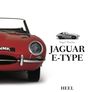 Nigel Thorley: Jaguar E-Type, Buch