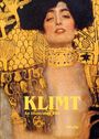 Harald Salfellner: Klimt, Buch