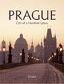Harald Salfellner: Prague, Buch