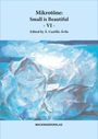 Mikrotöne: Small is Beautiful - VI, Buch