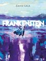 David Sala: Frankenstein, Buch