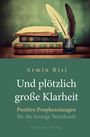 Armin Risi: Und plötzlich große Klarheit, Buch