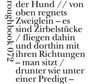 Heinz Peter Geißler: Hell wie Speck, Buch