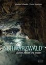 Johannes Schweikle: Unter dem Schwarzwald, Buch