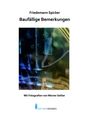 Friedemann Spicker: Baufällige Bemerkungen, Buch