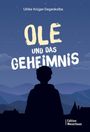 "Ole und das Geheimnis" von Ulrike Krüger-Degenkolbe. Silhouette eines Jungen vor nächtlicher Berglandschaft.