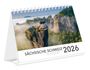 Peter Schubert: Kalender Sächsische Schweiz kompakt 2026, KAL