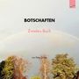 Petra Tschee: Botschaften, Buch