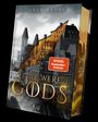 Lara Große: If We Were Gods, Buch