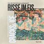 Texte: "RISSE IM EIS", "CRACKS IN THE ICE". Illustration: Abstrakte bunte Figuren mit bizarren Formen.
