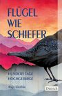 Texte: "FLÜGEL WIE SCHIEFER," "HUNDERT TAGE HOCHGEBIRGE," "Anja Liedtke," "Dittrich." Illustration: Schwarzer Vogel, bunte Berge.