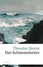 Theodor Storm: Der Schimmelreiter, Buch