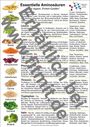 Tanja Aeckersberg: Aminosäuren und vegane Protein-Quellen, Div.