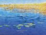 "VIRTUAL PAINTING Fotoimpressionen von Christof J. Hug-Fleck." Eine Wasserlandschaft mit Seerosen.