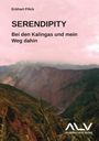 Eckhart Pilick: Serendipity, Buch