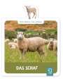 : Mein kleines Tier-Lexikon - Das Schaf, Buch