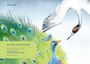 "Der Pfau und der Kranich" – Fabeltext. Bunte Illustration mit Pfau und fliegendem Kranich, leuchtende Federn, dynamische Szene.