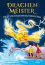 Tracey West: Drachenmeister Band 7 - Die Suche nach dem Blitzdrachen, Buch