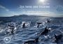 Fabian Ritter: Die Insel der Delfine, Buch