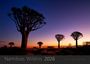 : Namibias Wildnis 2026, KAL