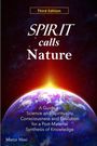 Marco Masi: Spirit Calls Nature, Buch