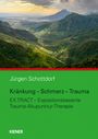 Jürgen Schottdorf: Kränkung - Schmerz - Trauma, Buch