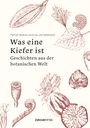 Lucia Jay von Seldeneck: Was eine Kiefer ist, Buch