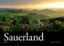 Andre Geißler: Sauerland, Buch