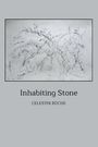 Celestin Büche: Inhabiting Stone, Buch
