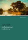 Adalbert Stifter: Der Nachsommer, Buch