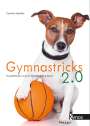 Carmen Heritier: Gymnastricks 2.0, Buch