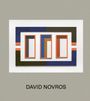 David Novros: Painting, Buch