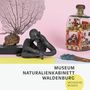 : Museum Naturalienkabinett Waldenburg, Buch