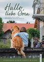 Julia Tannhoff: Hallo, liebe Oma, Buch