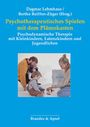 Martin Maurer: Psychotherapeutisches Spielen mit dem Plämokasten, Buch