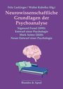 Titel: "Neurowissenschaftliche Grundlagen der Psychoanalyse". Illustration eines Gehirns über einer Couch. Verlag: Brandes & Apsel.