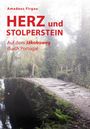 Amadeus Firgau: Herz und Stolperstein, Buch