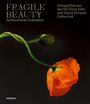 : Fragile Beauty - zerbrechliche Schönheit, Buch