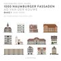 Ad van der Kouwe: 1000 Naumburger Fassaden, Buch