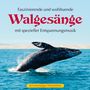 : Walgesänge (mit spezieller Entspannungsmusik), CD