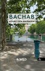 „BACHAB, WEHRET DEN ANFÄNGEN! B. WILD“ auf Bäumen am Wasser, mit Bank und Brunnen im Vordergrund.