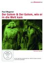 Henrik Galeen: Der Golem (1914) / Der Golem, wie er in die Welt kam (1920), DVD