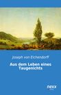 Joseph: Aus dem Leben eines Taugenichts, Buch