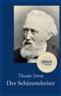 Theodor Storm: Der Schimmelreiter, Buch