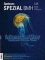 Spektrum der Wissenschaft: Spektrum Spezial BMH 3/2025 - Lebensraum Meer, Buch