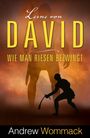 Andrew Wommack: Lerne von David, Buch