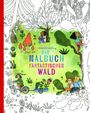 Sebastián Ilabaca: Fantastischer Wald, Buch