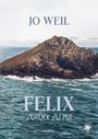 Jo Weil: Felix - Zurück zu mir, Buch