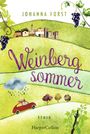 Johanna Forst: Weinbergsommer, Buch