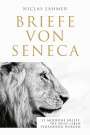 Niclas Lahmer: Briefe von Seneca, Buch